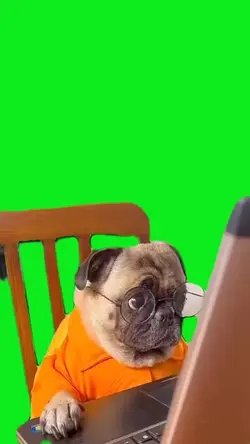 Dog using computer