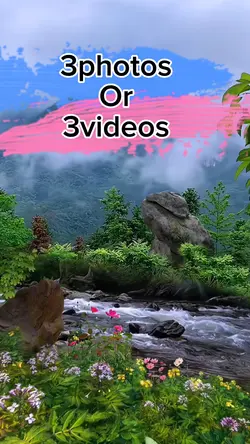 3photos/videos