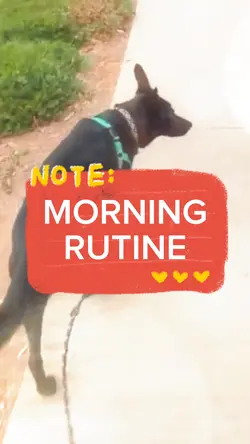 MORNING RUTINE
