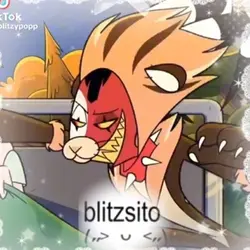blitzsito