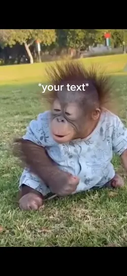 Baby monkey