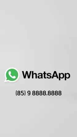 WhatsApp logo intro