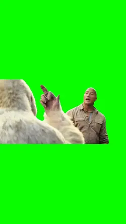 The rock - F U