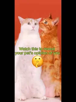 Spread the word 😺