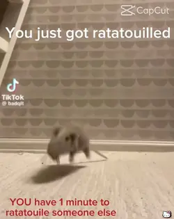 Ratatouille