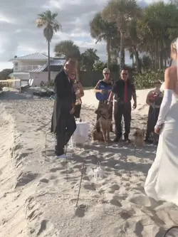 Summer wedding 