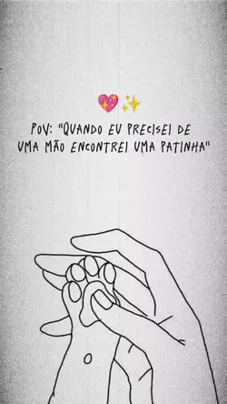meu dog