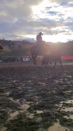 horses are faster