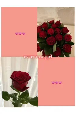 for me, roses>>>