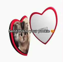Heart cat