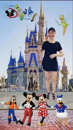 Walt Disney World
