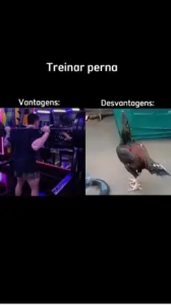 Todo treino pesado