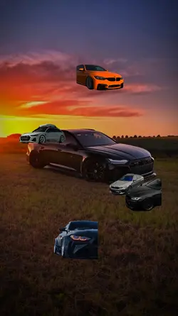 edite car