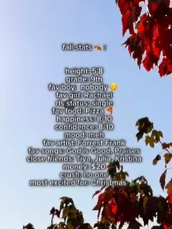 Fall Stats 2024 🍁 