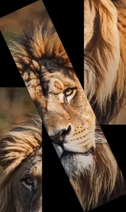 VIDEO EFFECTS 
