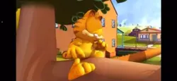 Garfield knows 