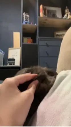 Bunnies sleeping
