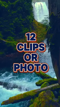 12 clips or photo