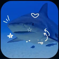 Sharkies :D