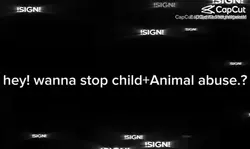 STOP CA / AA !