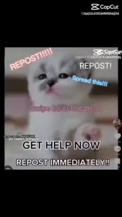 Repost