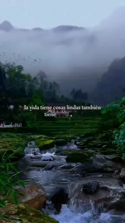 La vida es maravillo
