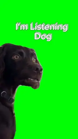 I'm Listening Dog