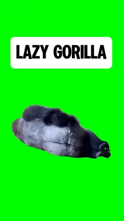 LAZY GORILLA