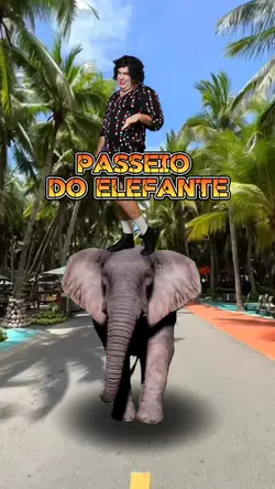 O elefante