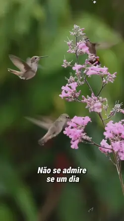 Ai que saudade do cê
