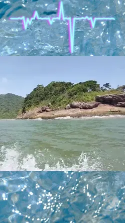 Efeito viagem. 