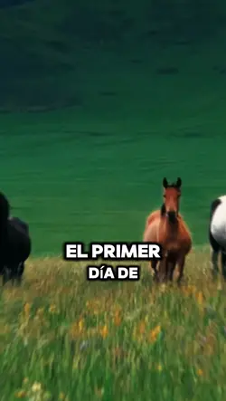 Bienvenido Agosto 