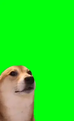dog bobbing head 