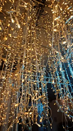 Festa Casamento 