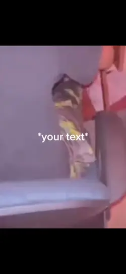 Gum