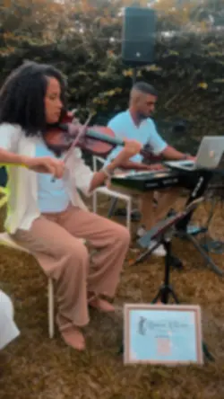 Músicos em Casamento