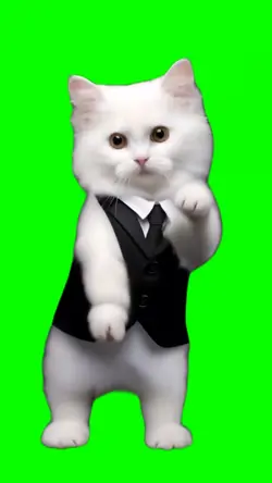 Gato Bailando