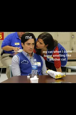 Superstore memes