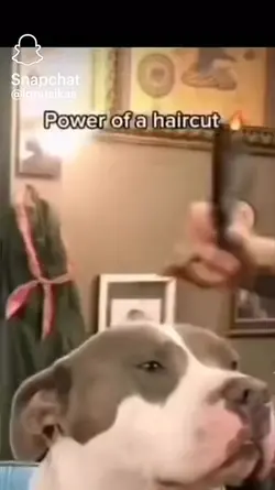 power of a haircut