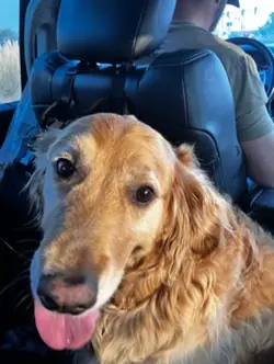 Dog