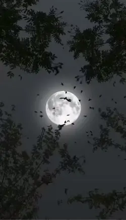 Luna dile 