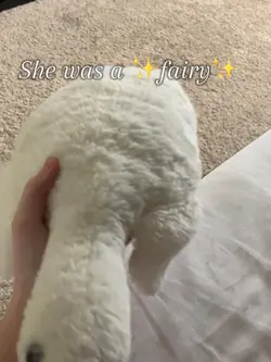 She was a fairy 