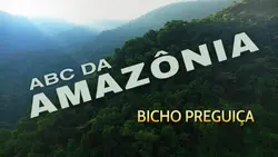 ABC da Amazônia