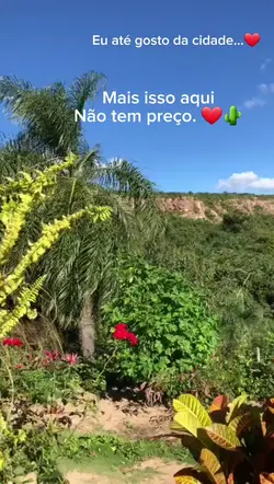 sertão não tem preço