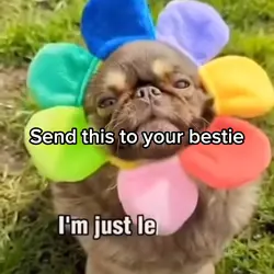 Hey bestie