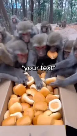 Monkeys eating