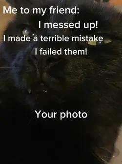 Bestie