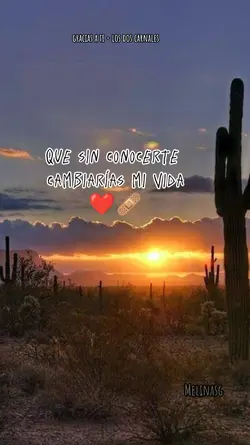 gracias a ti 