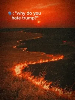 Trump fuckin sucks.