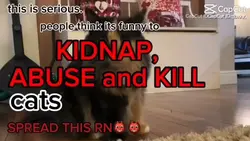 Pls spread